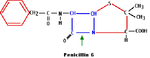 penicilline