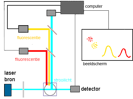 schema