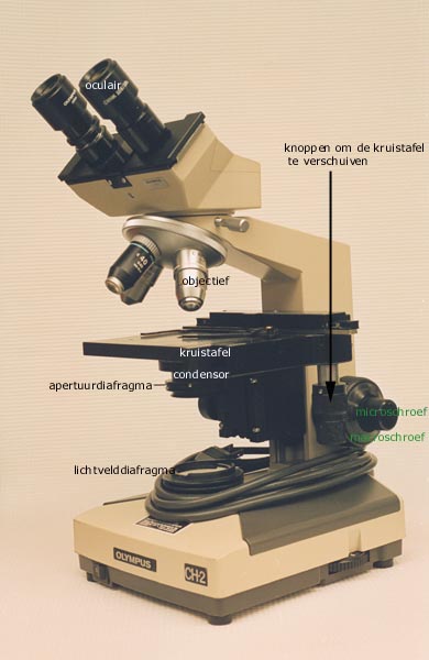 microscoop